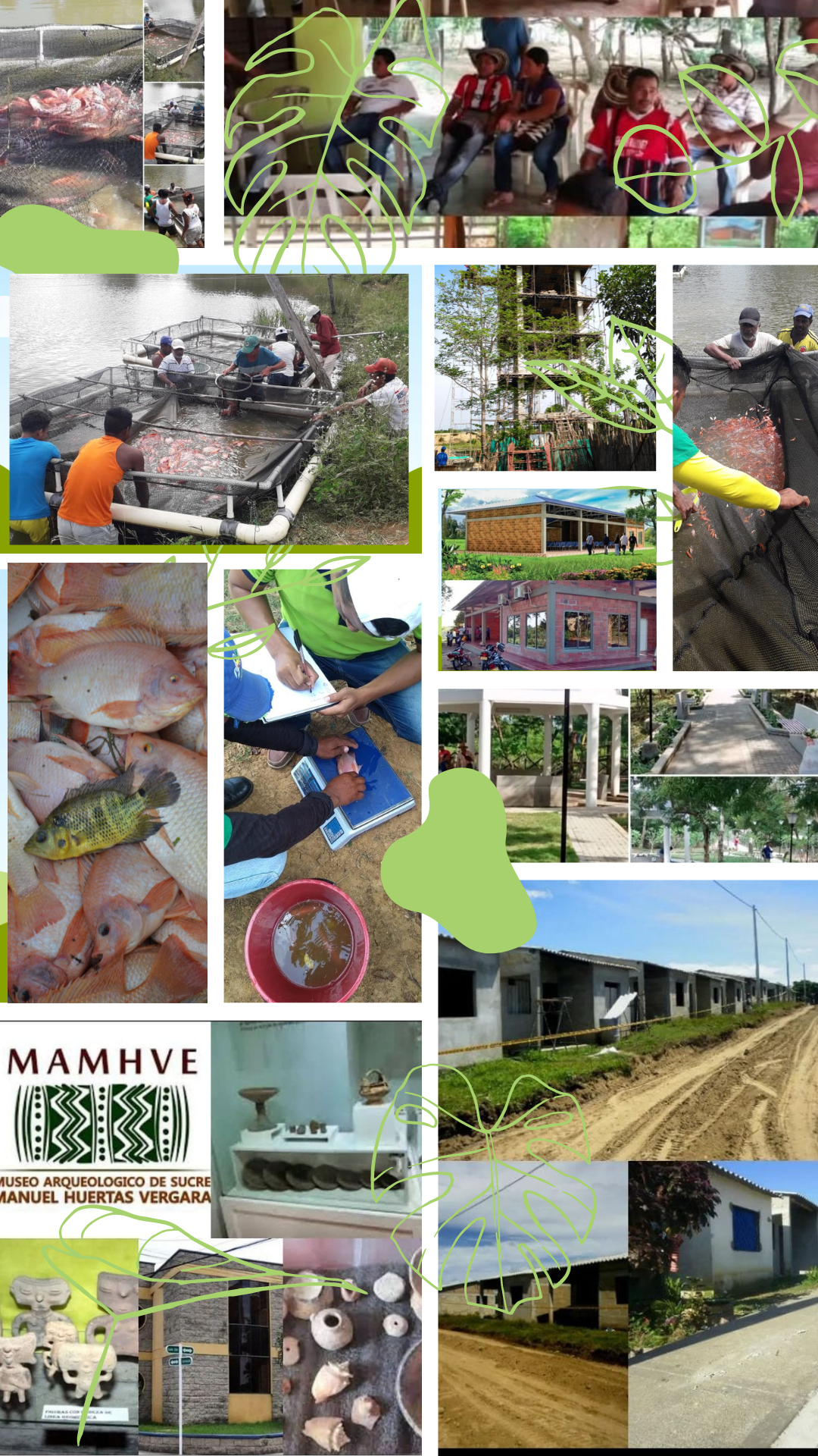 Collage de imágenes que muestran los diversos proyectos de la Fundación FIDES.